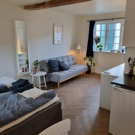 Mini-lejlighed Med Kokken - Deler Bad Og Toilet Med Nabolejlighed 4 Apartment Asperup